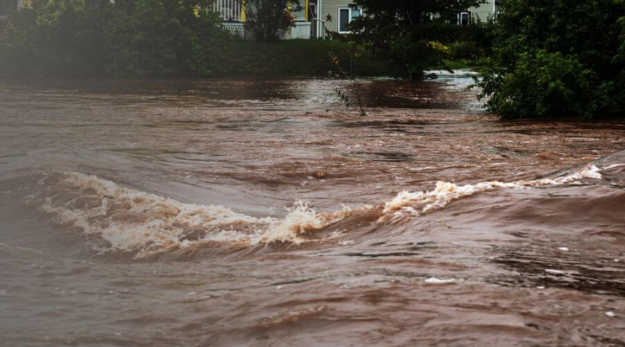 Why choose water damage restoration service for emergency water extraction services in Olympia